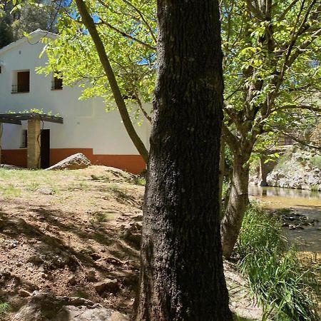 Casa rural Molino Jaraiz Yeste Esterno foto