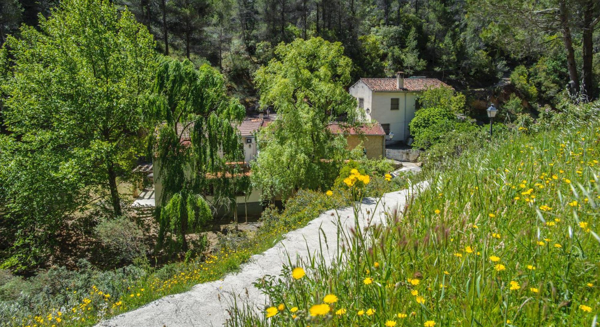Casa rural Molino Jaraiz Yeste Esterno foto